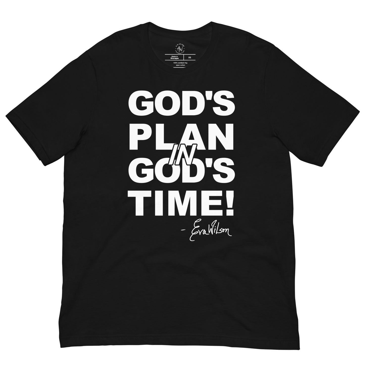 God's Plan in God's Time